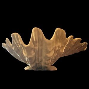 Wedgwood Vintage Barlaston Nautilus Shell Trinket Dish in a creamy Ivory 7”
